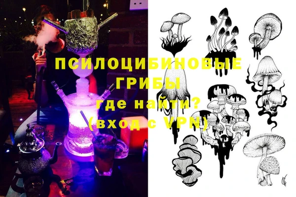 шишки Нефтегорск