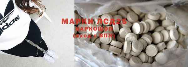 стаф Нея