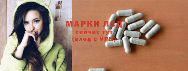 стаф Нея