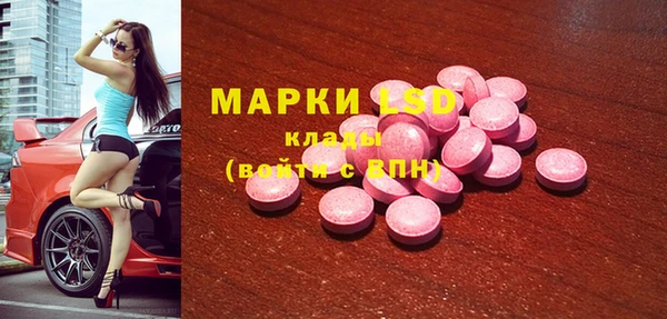 стаф Нея