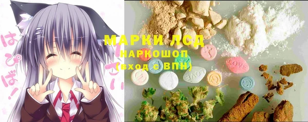 стаф Нея