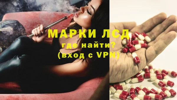 стаф Нея